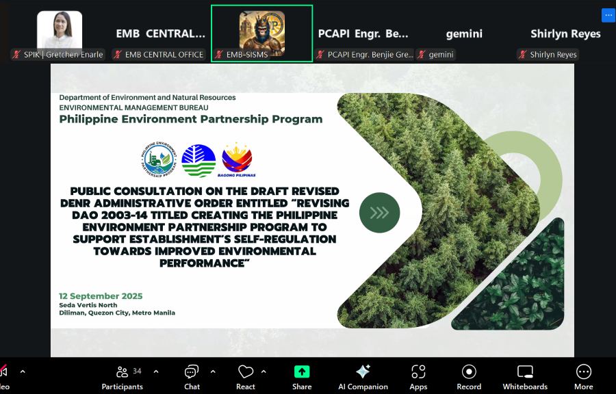 Public Consultation for the Revised DAO on PEPP
